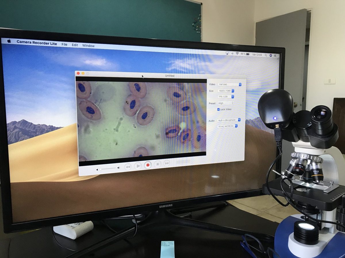 Microscopio conectado a un monitor que proyecta una muestra celular para toda la clase